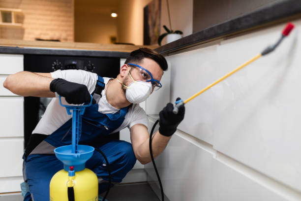 Best Best Pest Control Companies  in Mount Ora, OH