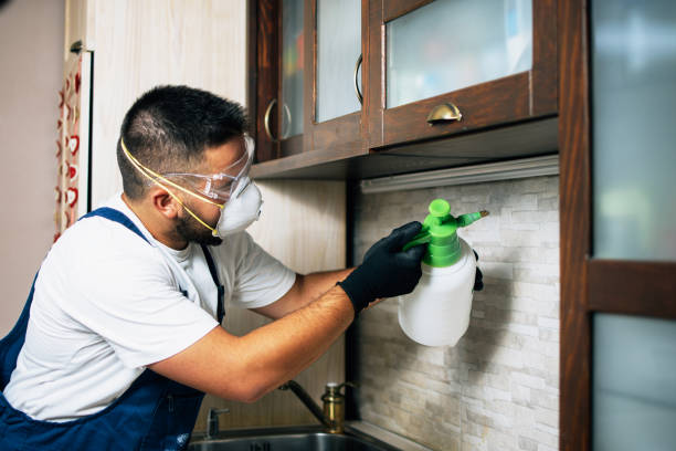 Pest Control for Restaurants in Mount Ora, OH