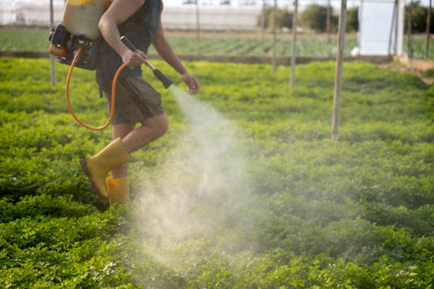 Best Affordable Pest Control Services  in Mount Ora, OH