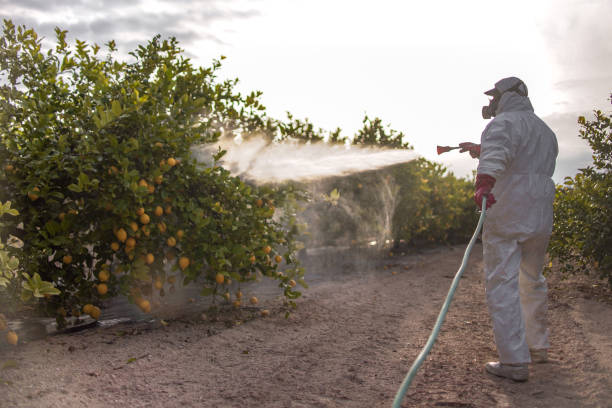 Best Cockroach Control Services  in Mount Ora, OH