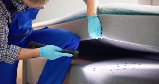 Best Pest Control for Restaurants  in Mount Ora, OH
