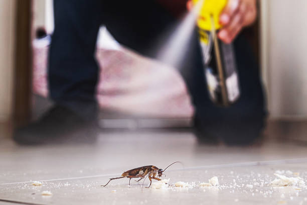 Best Wildlife Control Services  in Mount Ora, OH