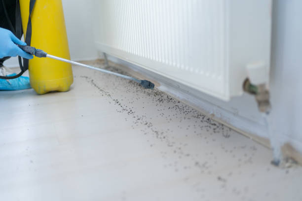 Professional Pest Control in Mount Ora, OH