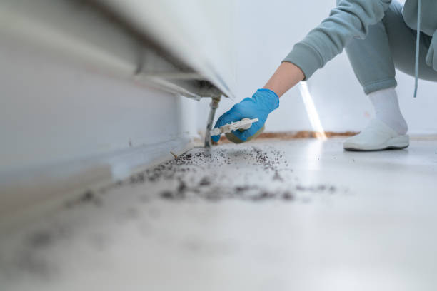 Best Affordable Pest Control Services  in Mount Ora, OH